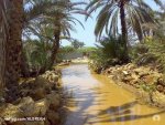 الصورة الرمزية فرااااس