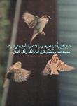 الصورة الرمزية هتون الجهني