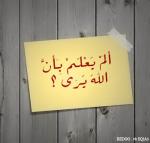 الصورة الرمزية شيهانة