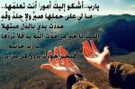 الصورة الرمزية ام ردين