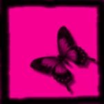   Butterfly1434
