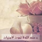 الصورة الرمزية جوااانا