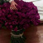 الصورة الرمزية دموووووع