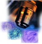 الصورة الرمزية انسان أنا