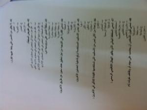     

:	photo 2.JPG
:	62
:	20.7 
:	13712