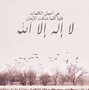 :	 .bmp
: 71
:	290.1 