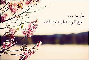     

:	16aa76843500396ca270148a1bdcb603.jpg
:	19
:	40.4 
:	143498