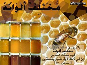     

:	image005 (1).jpg
:	43
:	77.5 
:	19084