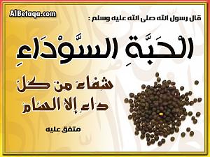     

:	image006.jpg
:	43
:	61.8 
:	19085
