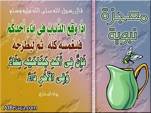     

:	image013.jpg
:	47
:	70.6 
:	19090