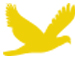 :	m0dynet3082851238955146.jpg
: 91
:	19.3 