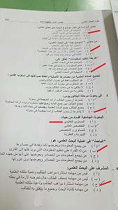     

:	IMG_5521[1] (1).JPG
:	389
:	184.5 
:	321692