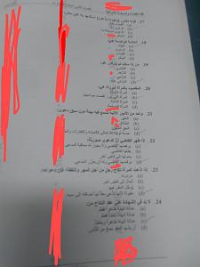     

:	abd44f7d-55cd-4975-bf93-04e0e5919bcd.jpg
:	248
:	57.7 
:	323421