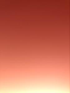     

:	Image1531764578.367637.jpg
:	88
:	136.4 
:	334274