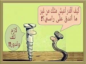     

:	IMG_5426.JPG
:	55
:	41.3 
:	338090