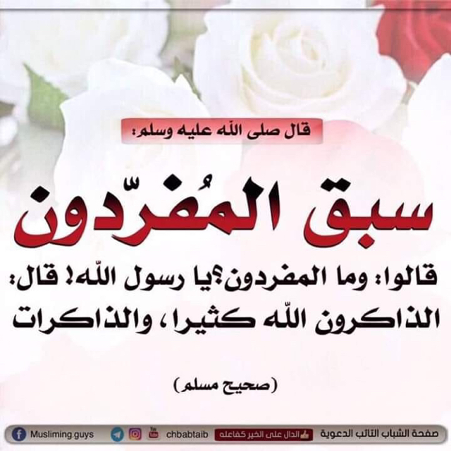 :	IMG_6931.JPG
: 88
:	276.3 