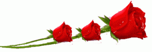     

:	vRm15435.gif
:	80
:	9.4 
:	45672