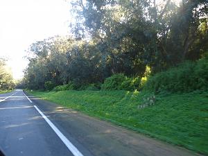     

:	DSC00699.jpg
:	59
:	543.4 
:	51630