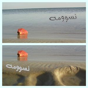     

:	IMG000237.jpg
:	20
:	86.5 
:	73322