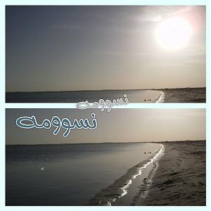     

:	IMG010483.jpg
:	20
:	82.5 
:	73323
