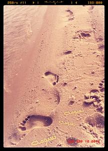     

:	IMG019957.jpg
:	23
:	82.0 
:	73324