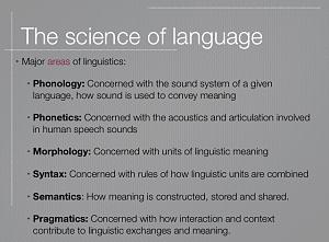     

:	The Science of Language.jpg‏
:	101
:	86.6 
:	243752