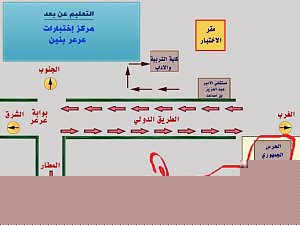 -arar_male.jpg