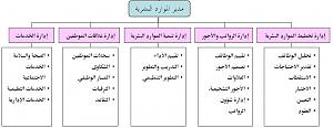 -%C7%E1%E5%ED%DF%E1-%C7%E1%CA%E4%D9%ED%E3%ED.jpg