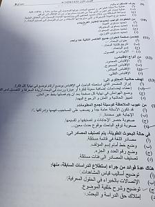 -img_8991.jpg