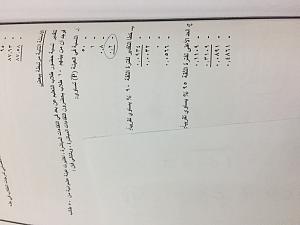 -img_4804.jpg