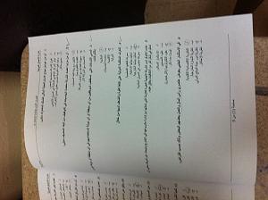 -img_1845.jpg