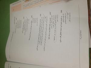 -img_5184.jpg