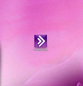 -.-.-.png