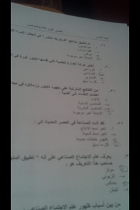 -img_0122.png