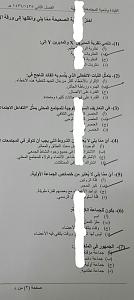 -aviary_1431540948928.jpg
