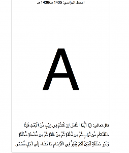 -screen-shot-2015-10-17-12.28.47-pm.png