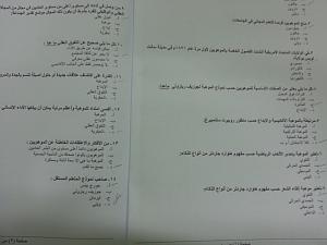 -20121231_194304.jpg
