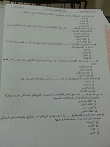 -img-20141229-wa0067.jpg