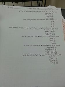 -img-20141229-wa0065.jpg