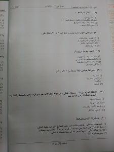 -image5.jpg
