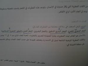 -img_-%A2-%A0-%A4-%A0-%A0-%A5_-%A0-%A0-%A7-%A2-%A4.jpg