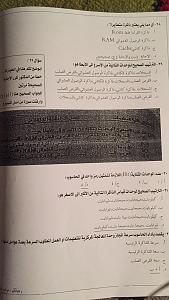 -img_9149.jpg