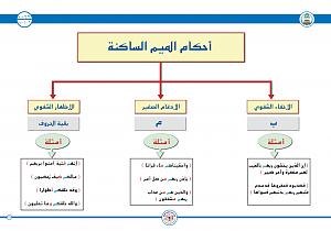 -%C7%E1%E3%ED%E3-%C7%E1%D3%C7%DF%E4%C9.jpg