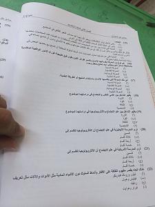 -image-4-.jpeg