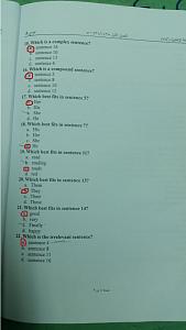 -p4.jpg