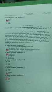 -p5.jpg