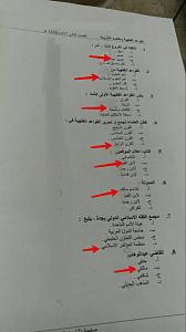 -img_1400.jpg