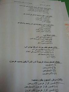 -y4toq.jpg