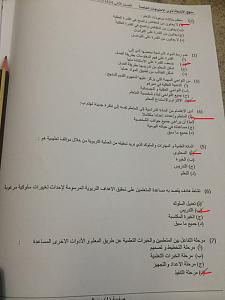 -image7-1.jpg
