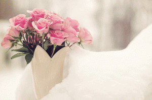 -%C7%E1%D5%E6%D1%C9-%C7%E1%C7%D5%E1%ED%C91.gif